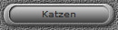 Katzen
