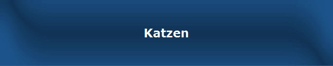 Katzen