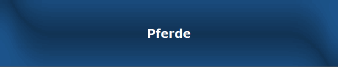 Pferde