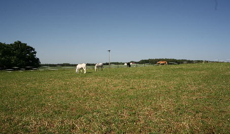 IMG_1765_Bildgre ndern