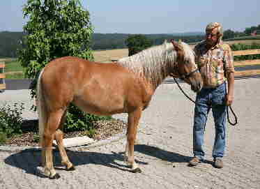 IMG_4103_Bildgre ndern